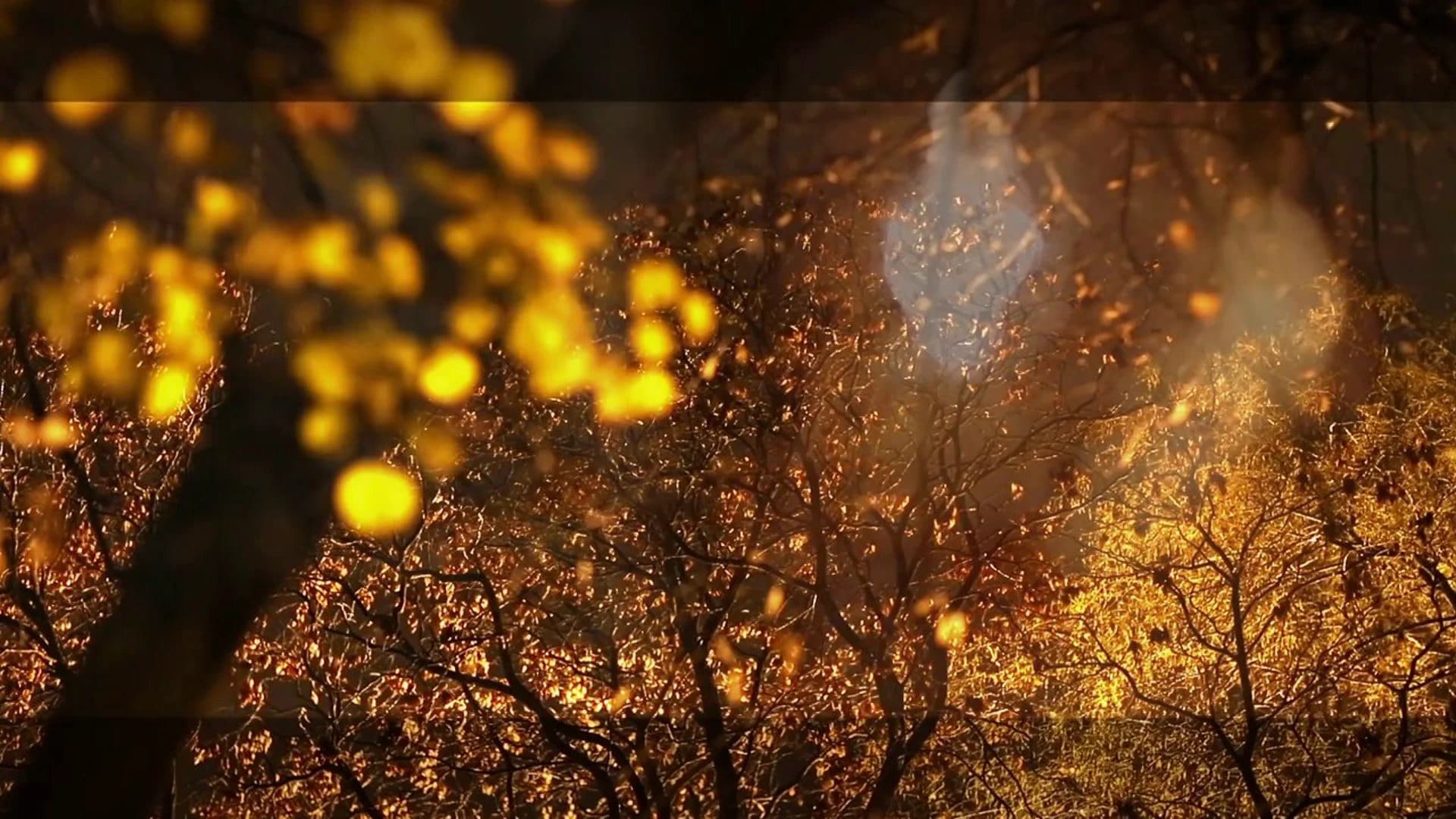 Wedding Photo Video Enquiry 168 Wedding Cinematography Ireland 24