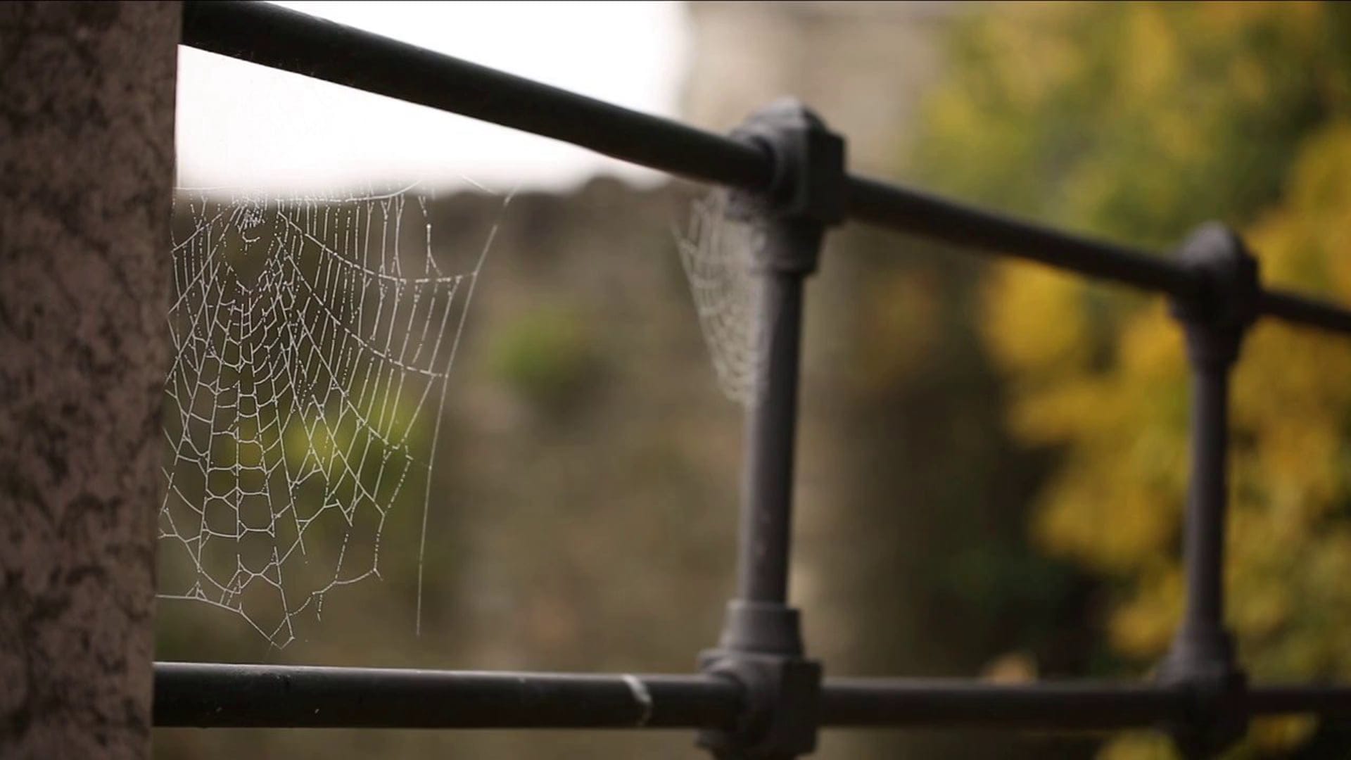 Wedding Photo Video Enquiry 174 Wedding Cinematography Ireland 41