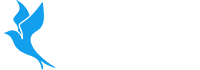 Bluebird Studio