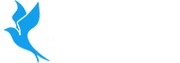 Bluebird Studio