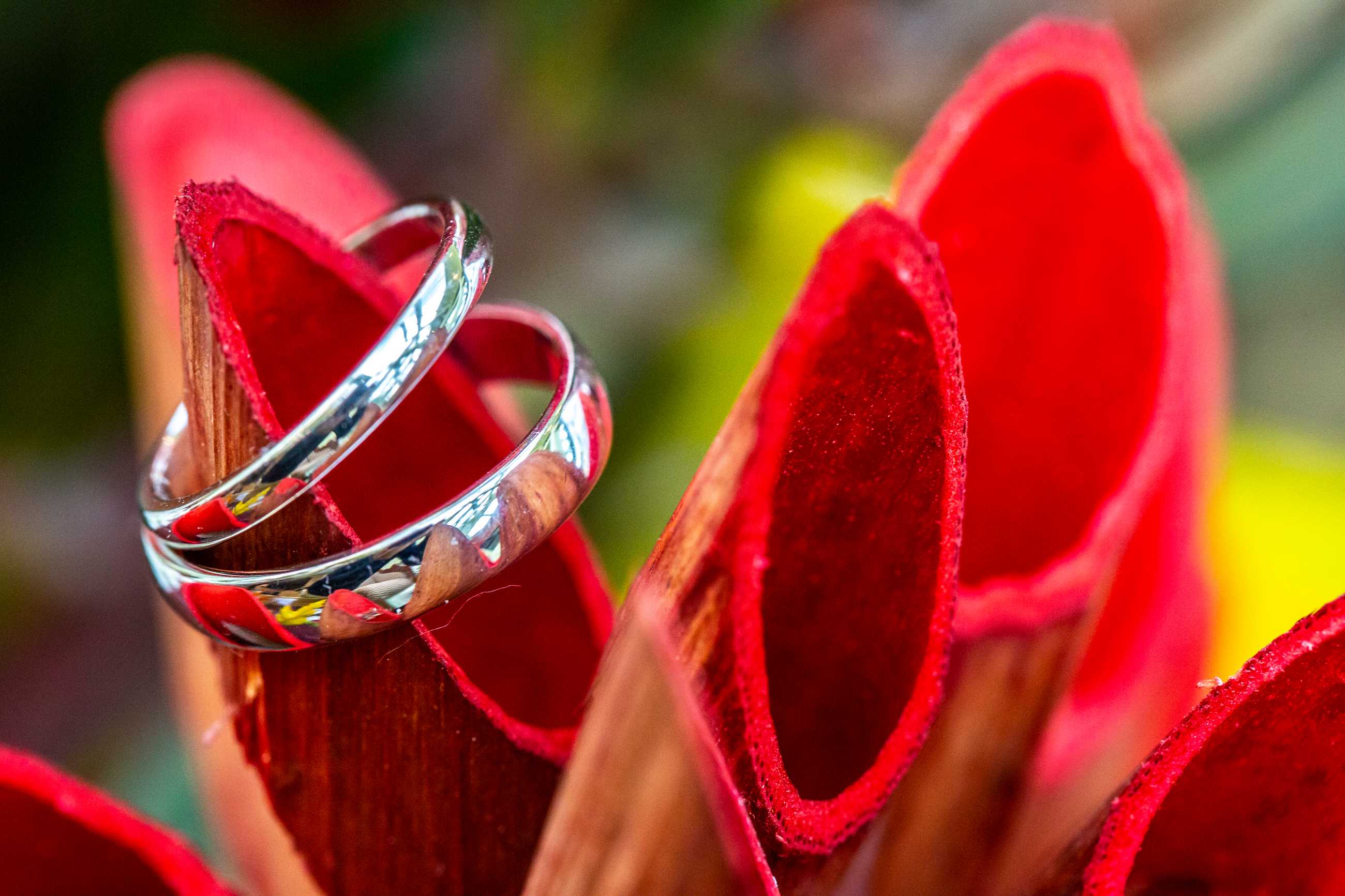 Wedding Photographer Barberstown Castle 010