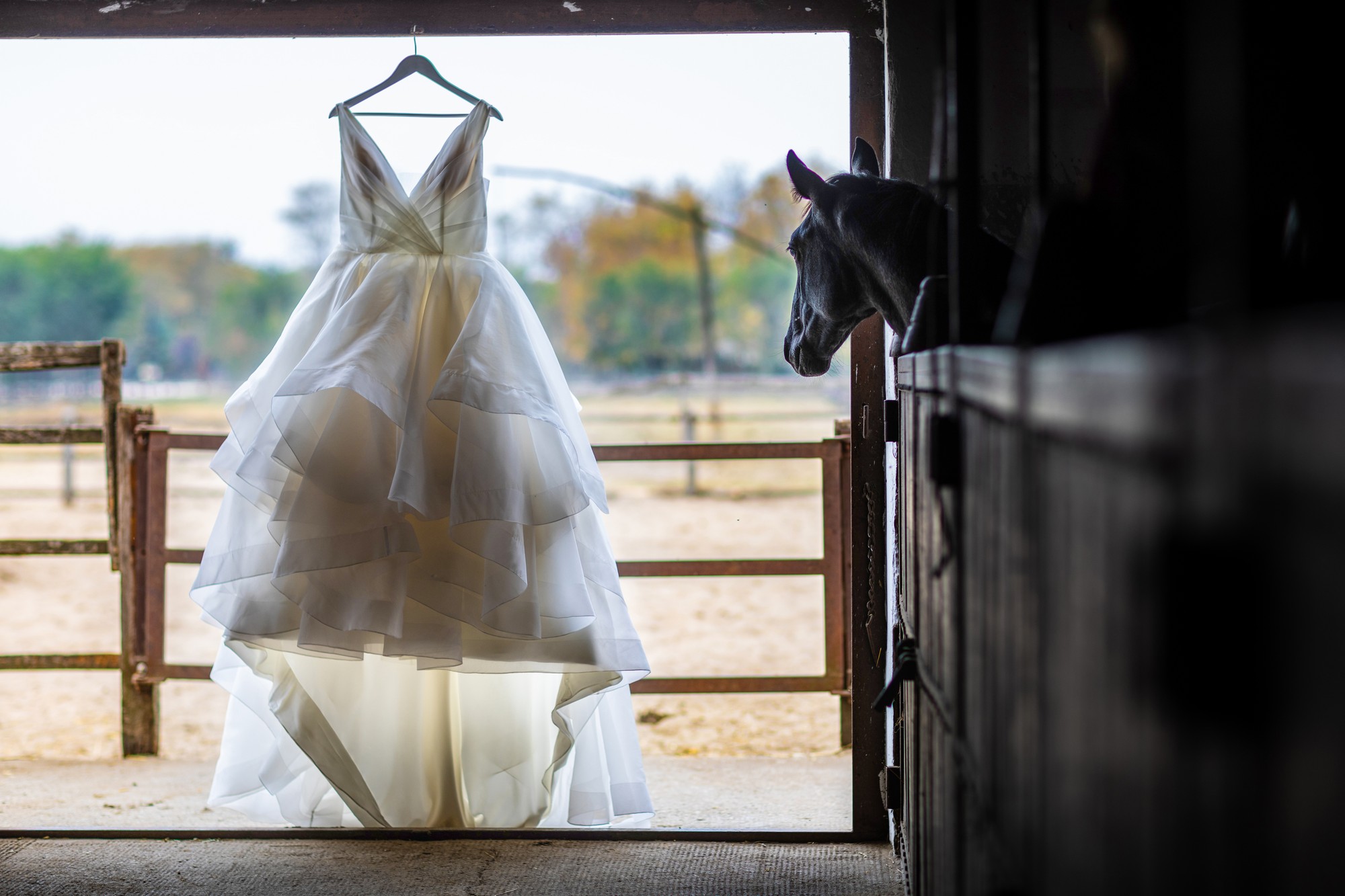 Wedding Photo Video Enquiry 4 Wedding Photographer Ireland 869A9862v2 tn