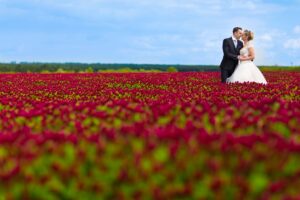 Bride and groom during a post-wedding photoshoot in Ireland