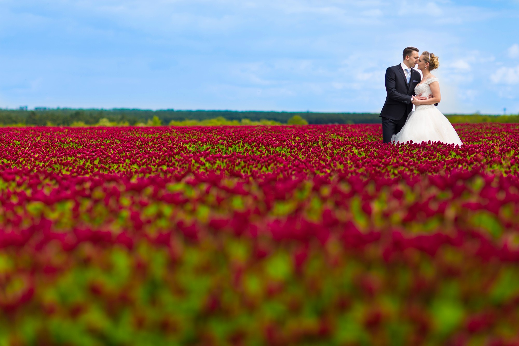 Wedding Photo Video Enquiry 86 Wedding Photographer Ireland F53A2756v2 tn